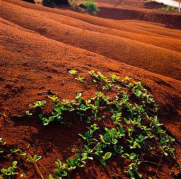 《影子诡局：被诅咒的海盗》全新DLC现已上线